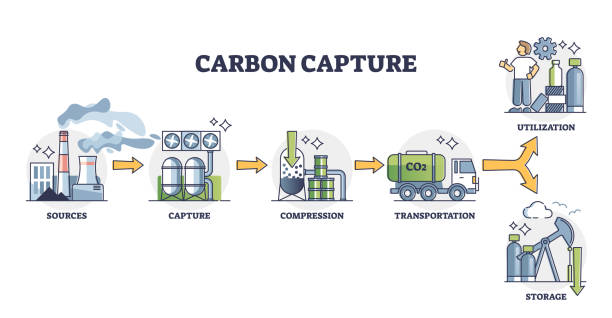 What are the technologies for carbon capture?