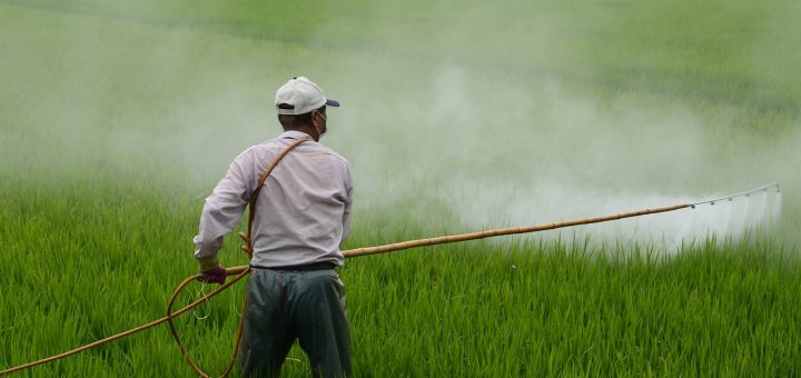 Testing Reveals Toxic 'Forever Chemicals' Contaminating US Food Pesticides